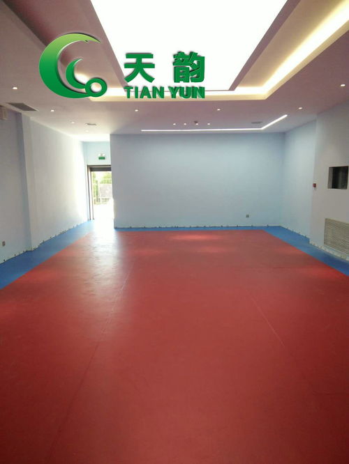 遼寧天韻塑膠地板批發(fā)運(yùn)動塑膠地板批發(fā)