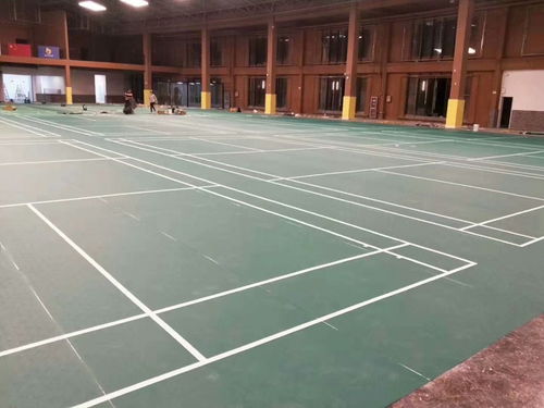 郫縣PVC塑膠運(yùn)動地膠IN 網(wǎng)球地膠