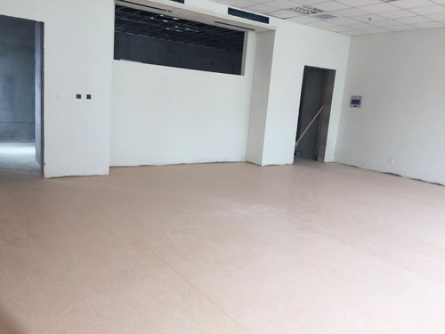 山東青島市阿姆斯壯學校耐污塑膠地板