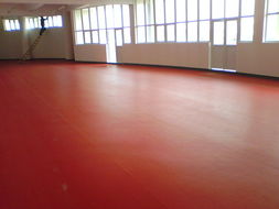 石家莊、唐山、秦皇島、邯鄲、邢臺PVC塑膠地板供應 專業運動場地解決方案